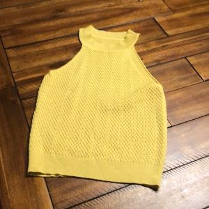 Crop Sleeveless Sweater